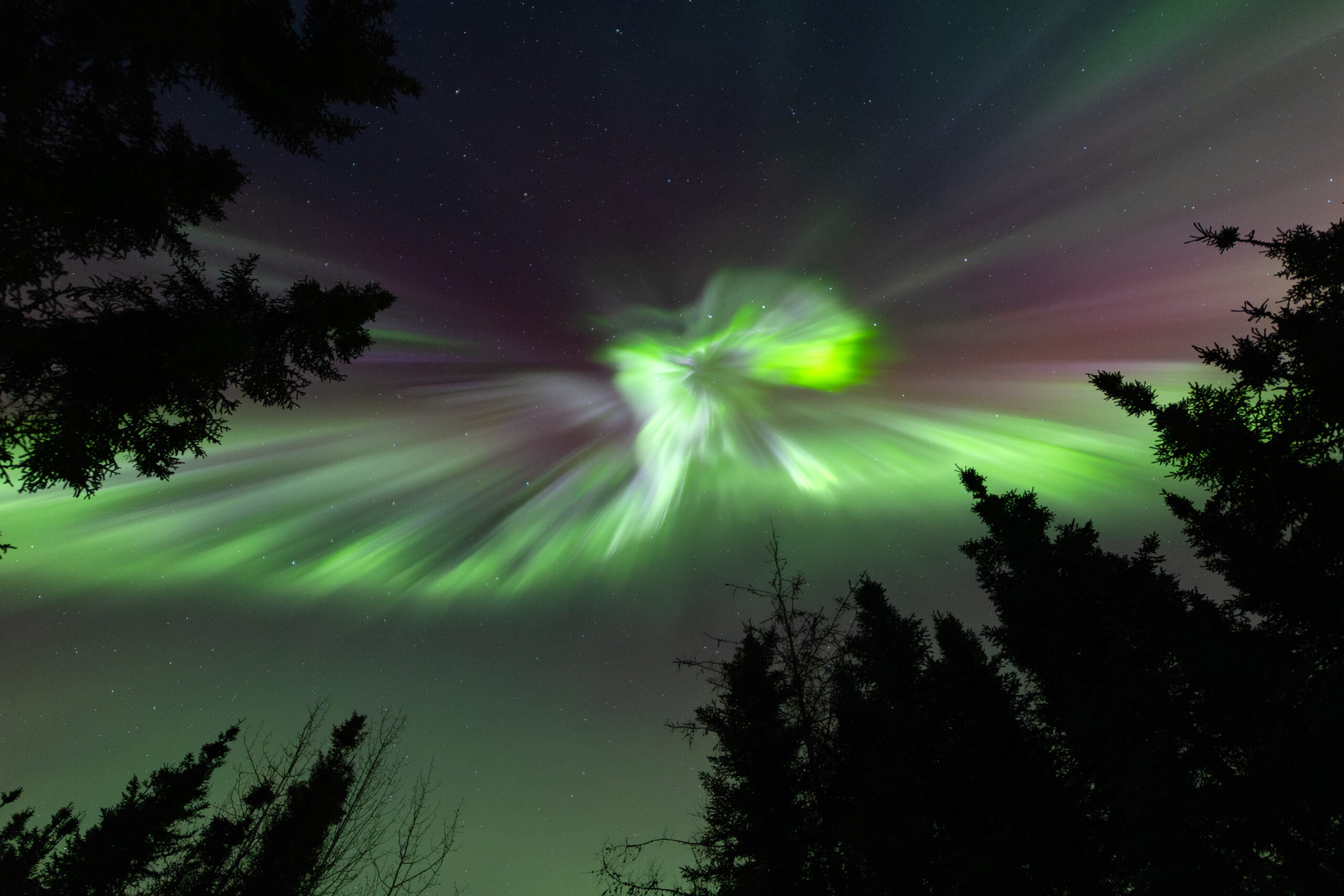 Northern Lights - Fairbanks, Alaska Aurora bursting with colors overhead in Fairbanks, Alaska