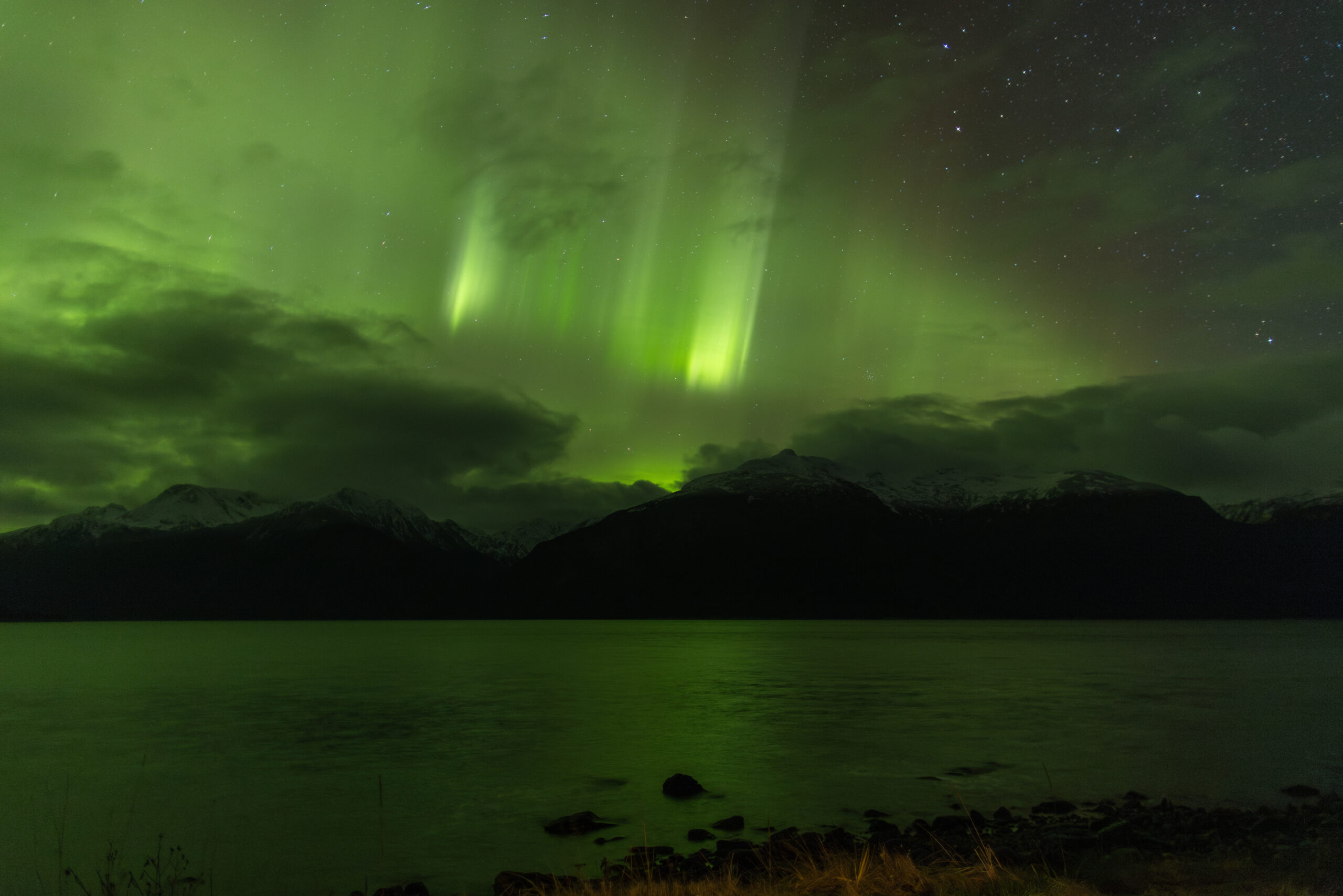 Aurora 
