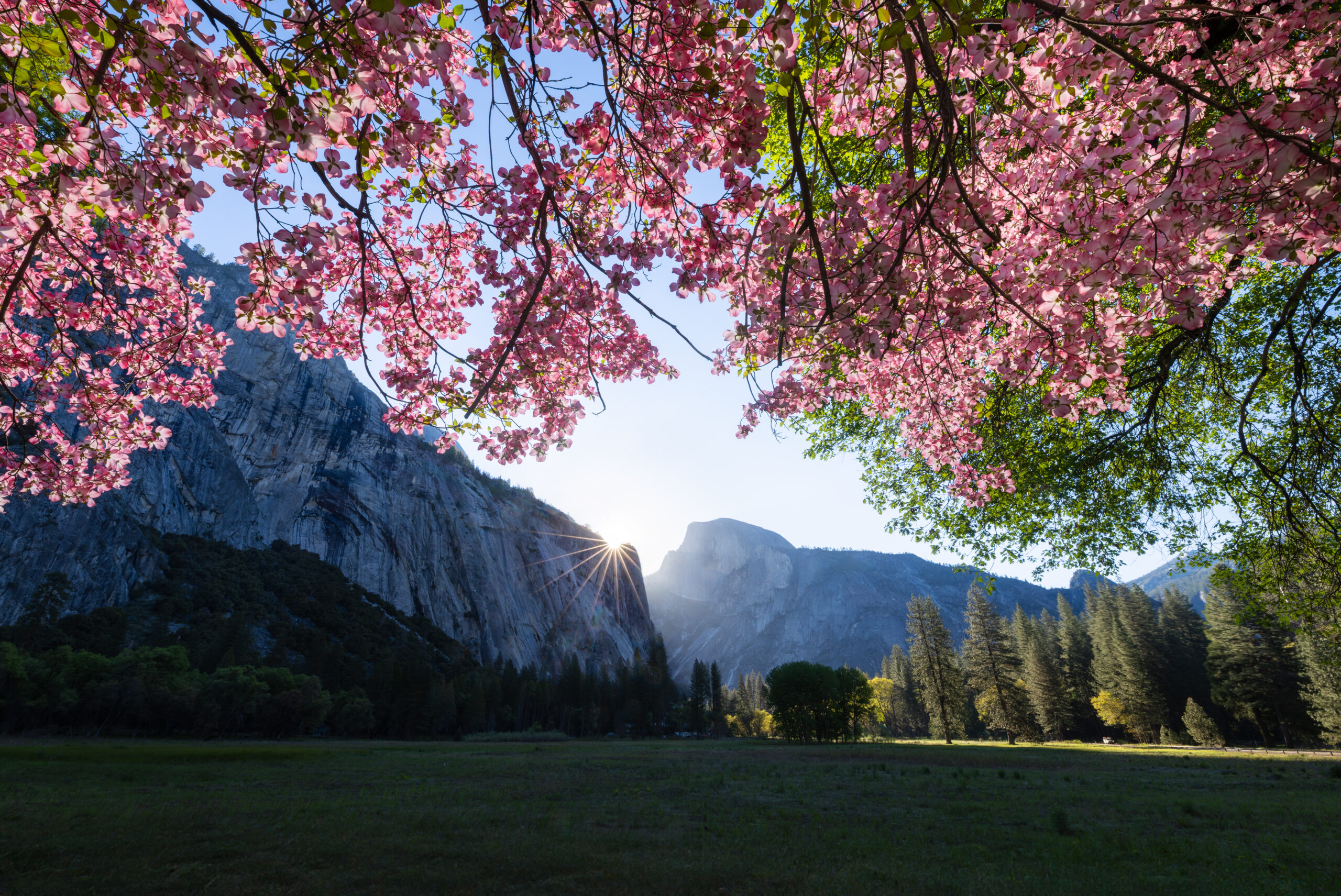 yosemite spring