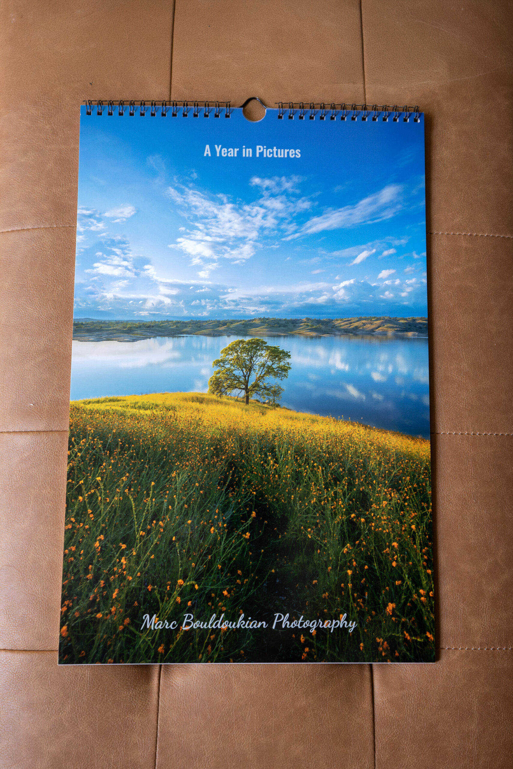 spring, flowers, lonely tree, lake, clouds